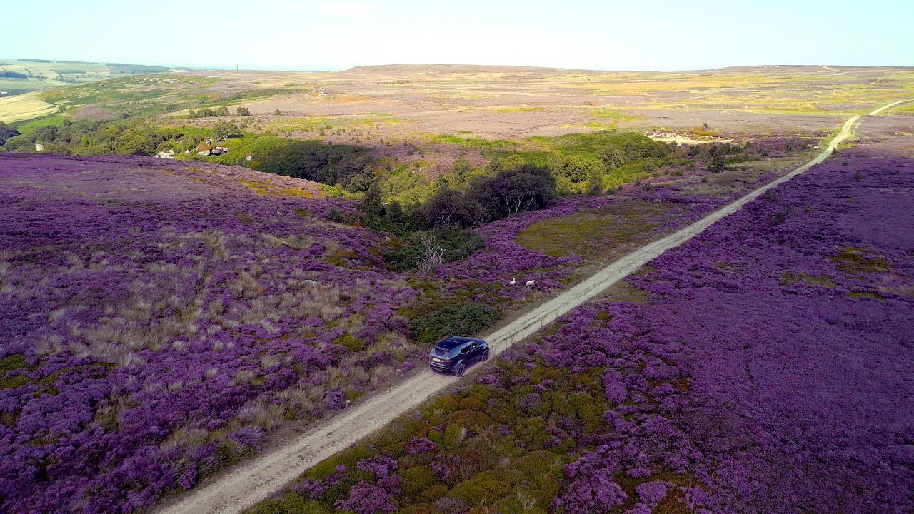 Kirkby Malzeard Moor 13th August 2022