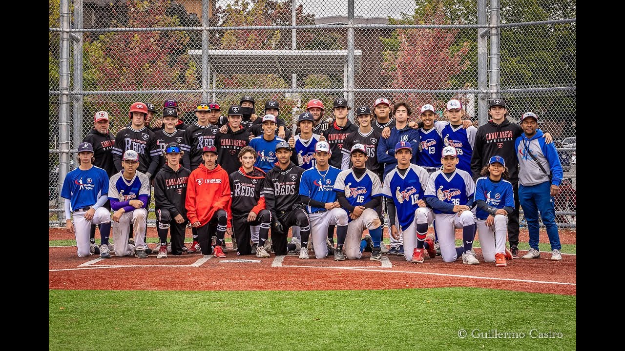 Tigers vs Canada Reds Baseball Academy
