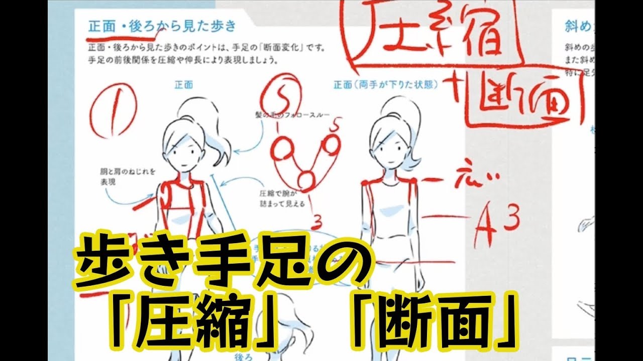 歩き圧縮断面