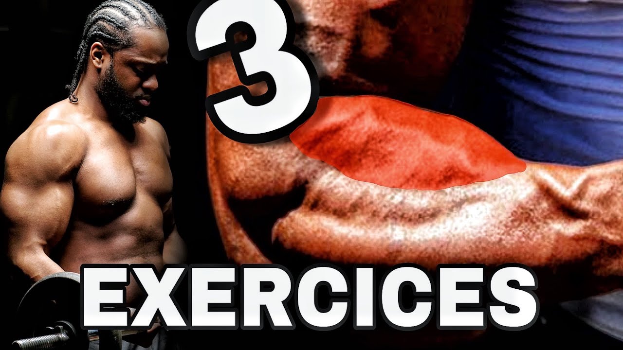 MUSCLER SES AVANT-BRAS ( mes 3 exercices )