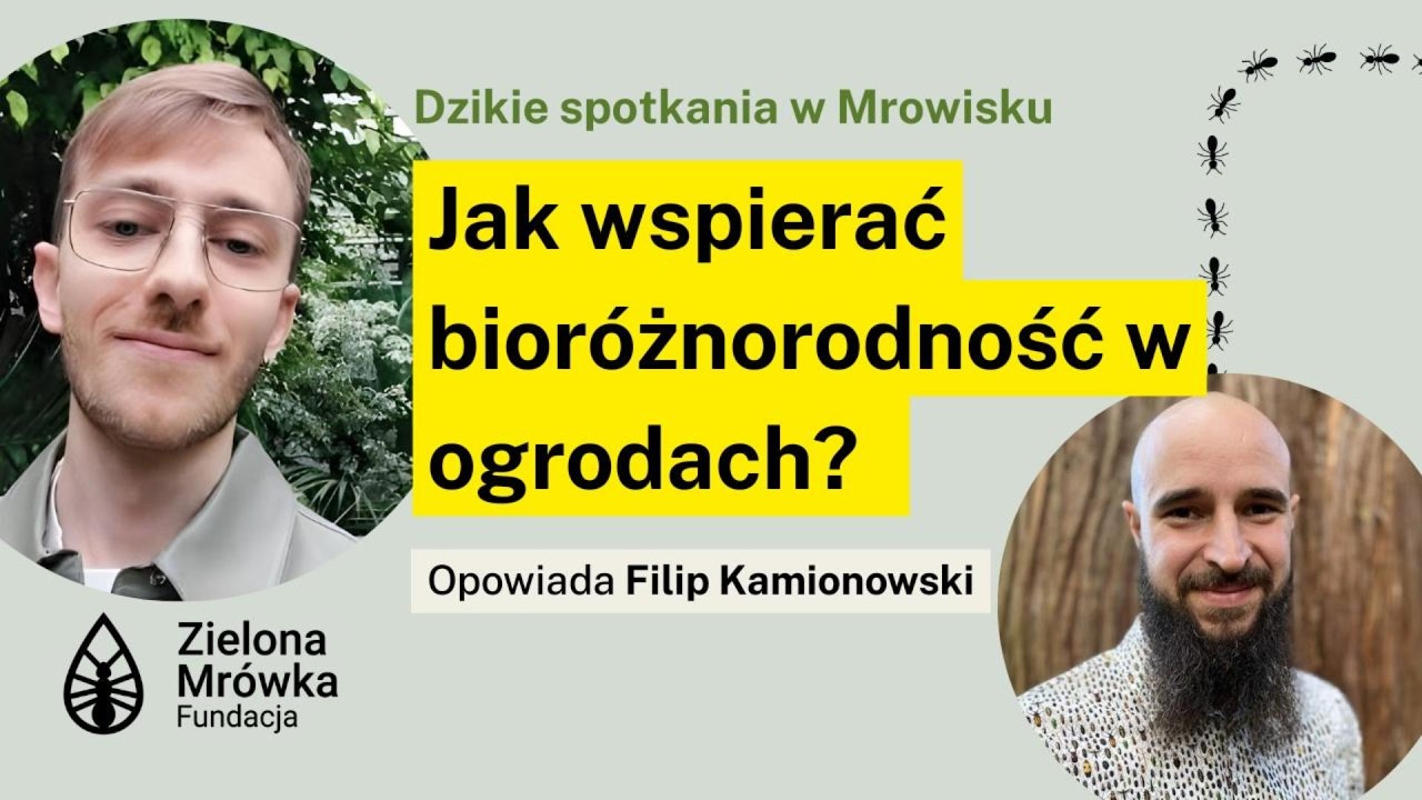 Jak zacząć dbać o bioróżnorodność w swoim ogrodzie? Opowiada Filip Kamionowski