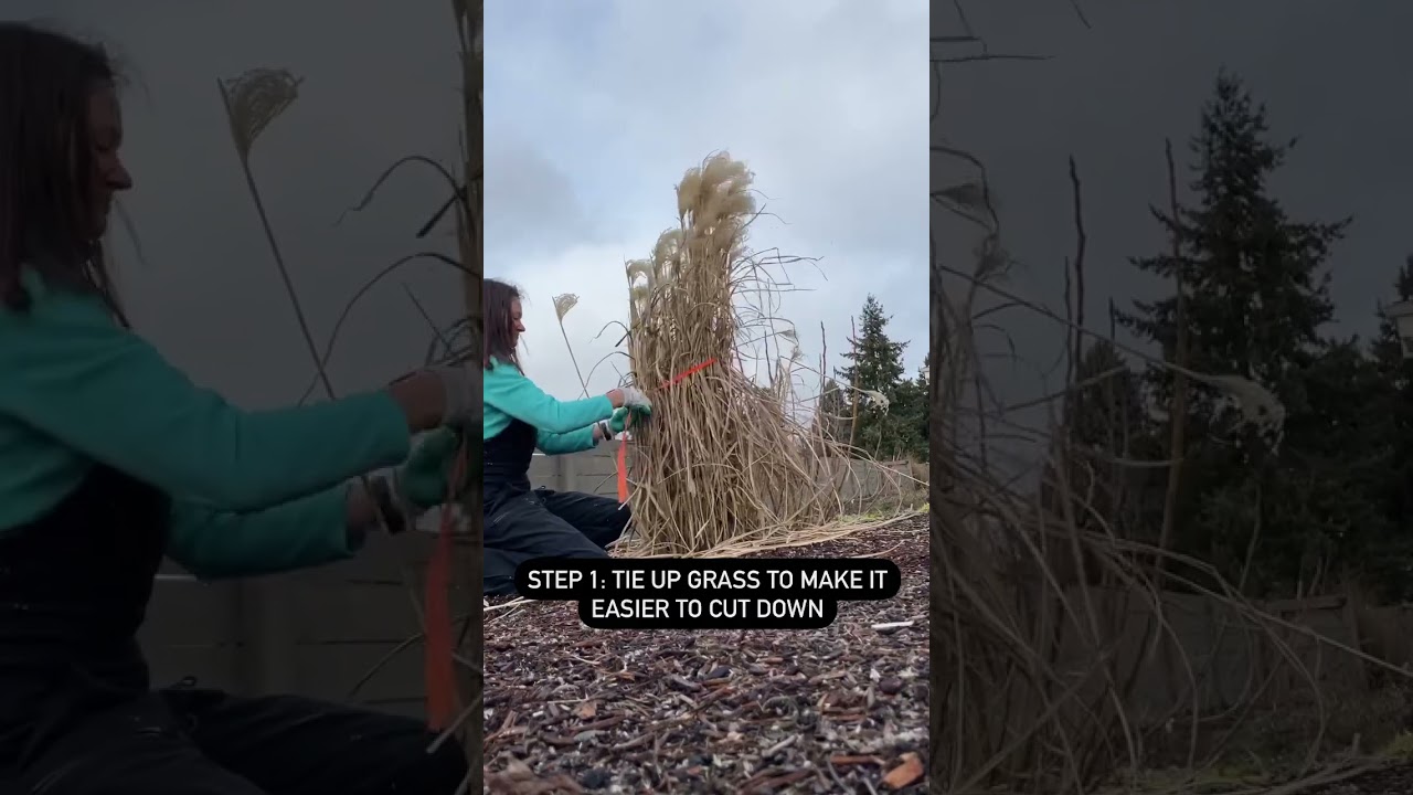 How To Prune Tall Grass: This Trick Makes It So Easy!