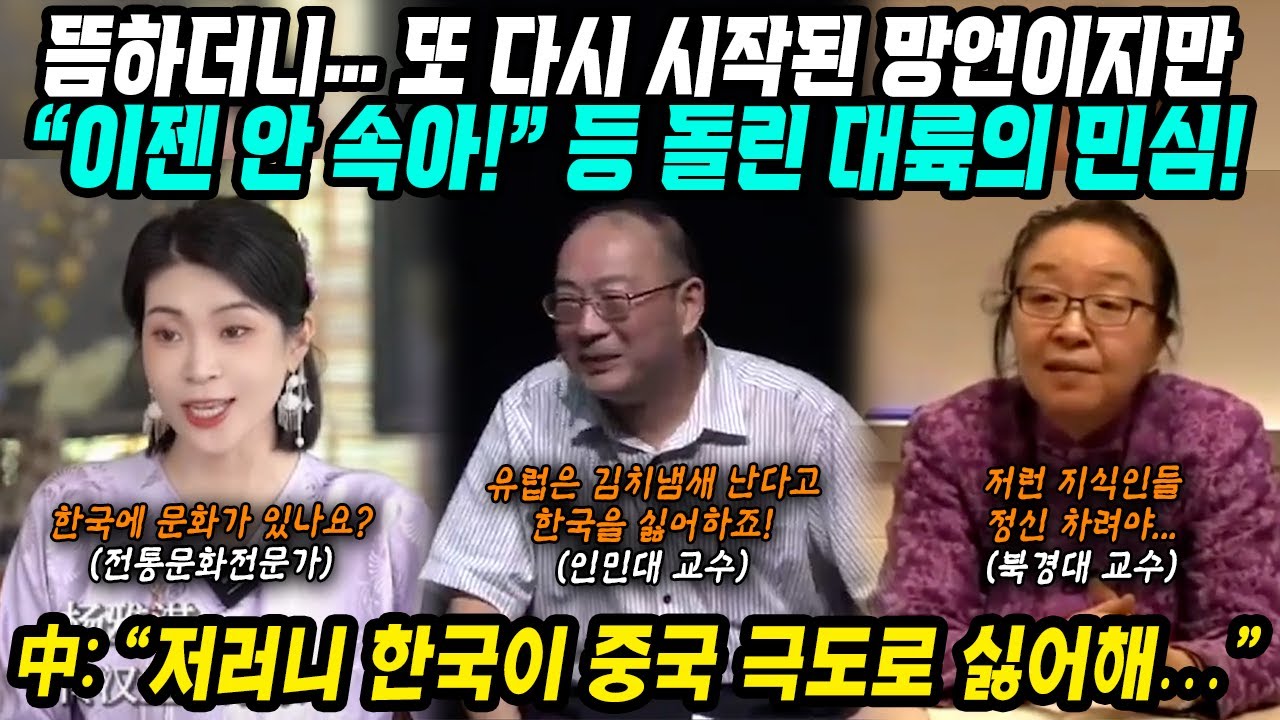 중국반응│또다시 시작된 중국의 망언 릴레이│하지만 이젠 안속아 등 돌린 대륙의 민심│이러니 한국이 중국을 극도로 싫어하지│중국어로[路]