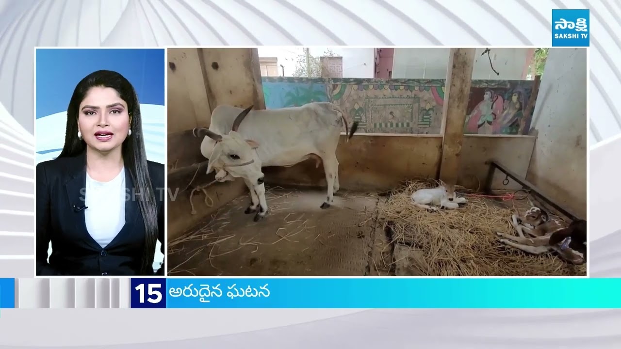 News Express | TOP 25 News Headlines | Sakshi Speed News at 7AM | 6 -10-2025 | @SakshiTV