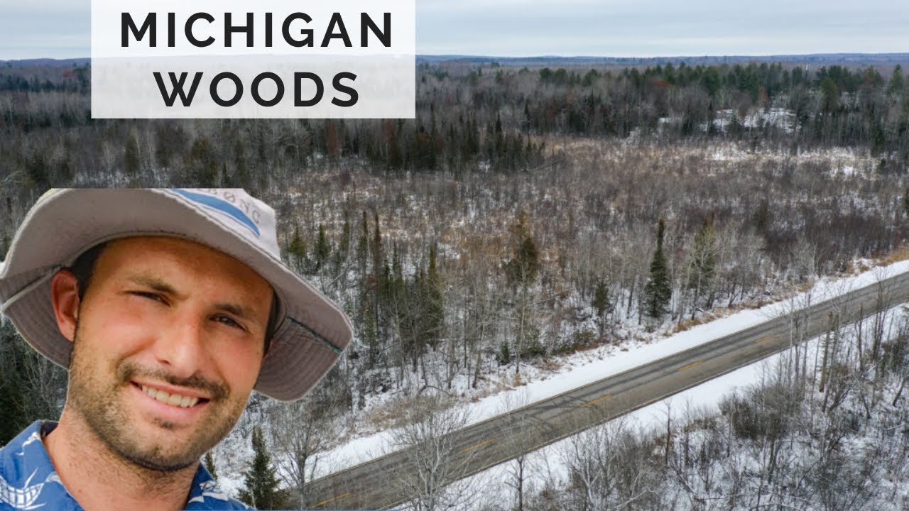 Northern Michigan Woods, With Utilities