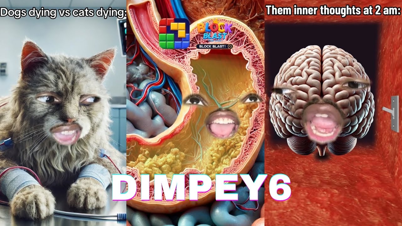 *3+ Hour* Best Dimpey6 Funny TikTok Videos | Dimpey6 Shorts Videos 2025 - Shorts Comps