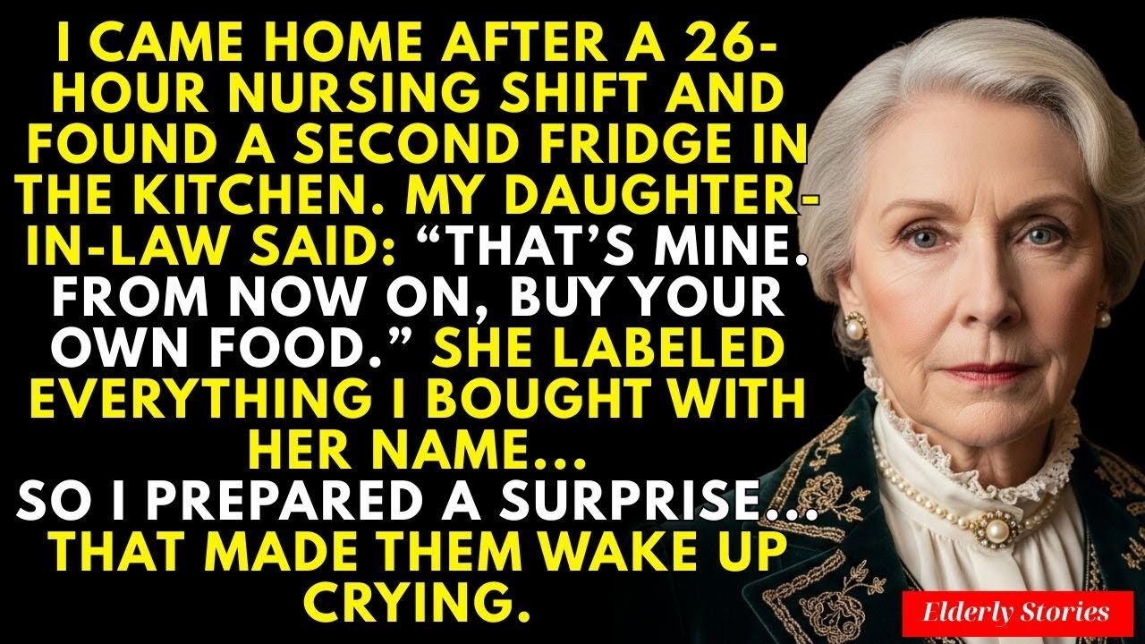 My Daughter in law Said, “That Fridge Is Mine  Buy Your Own Food ” And The Surprise I Prepared