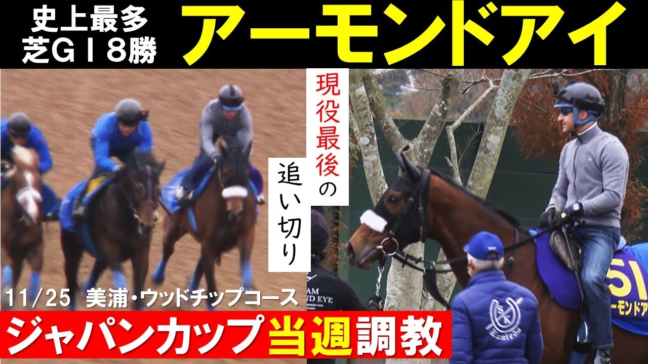 【ジャパンカップ2020】アーモンドアイ現役最後の追い切り《ルメール騎乗》