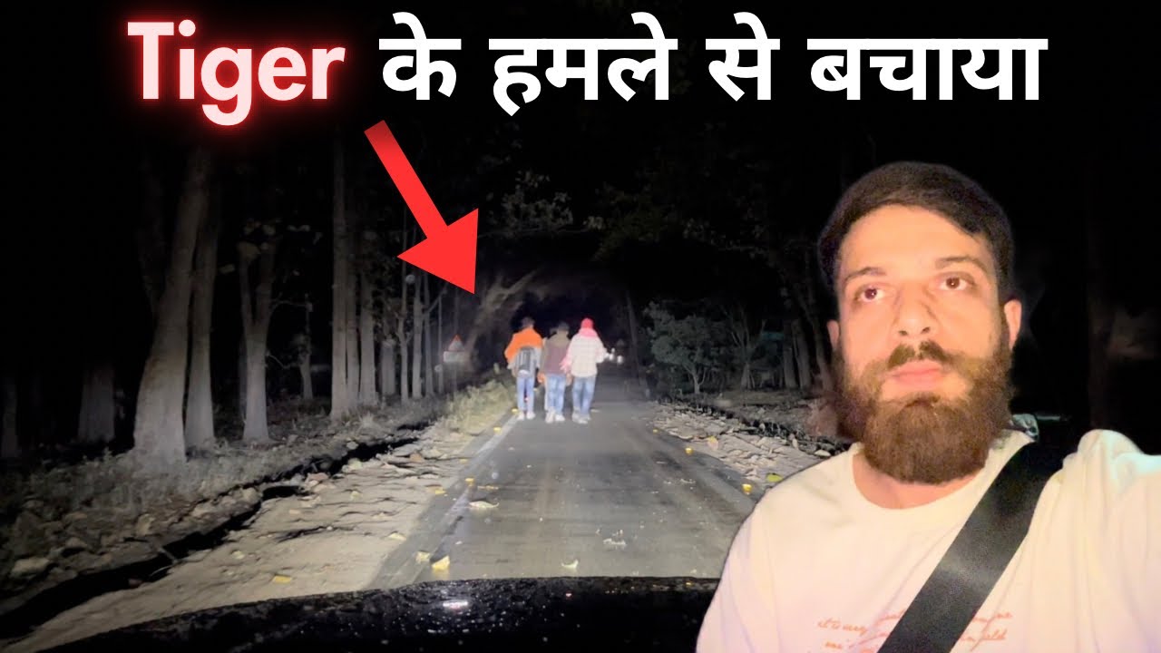 Saved humans Before Tiger Attack 😱 | Night Drive Jim Corbett National Park | Tiger Attack