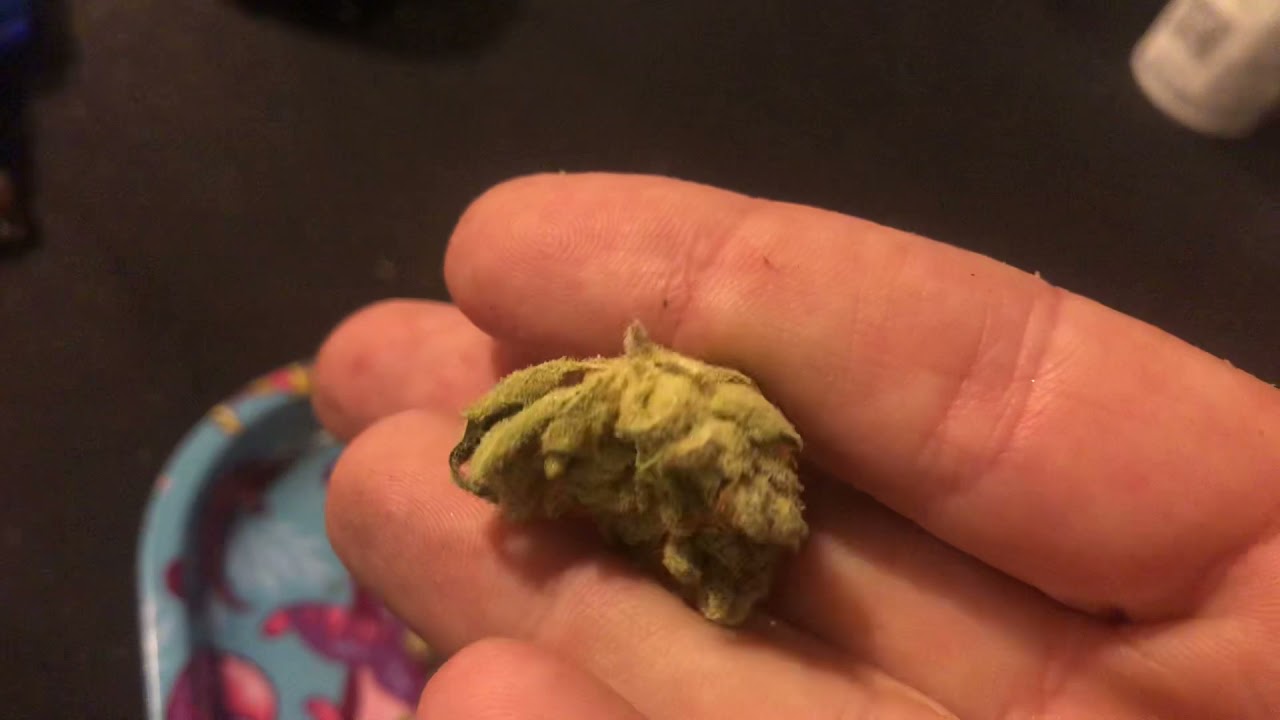 Growhealthy New Strains Creamsicle #4 And Sour Garlic Cookies #5 🤤🧐 Best Indica Yet 🙌￼