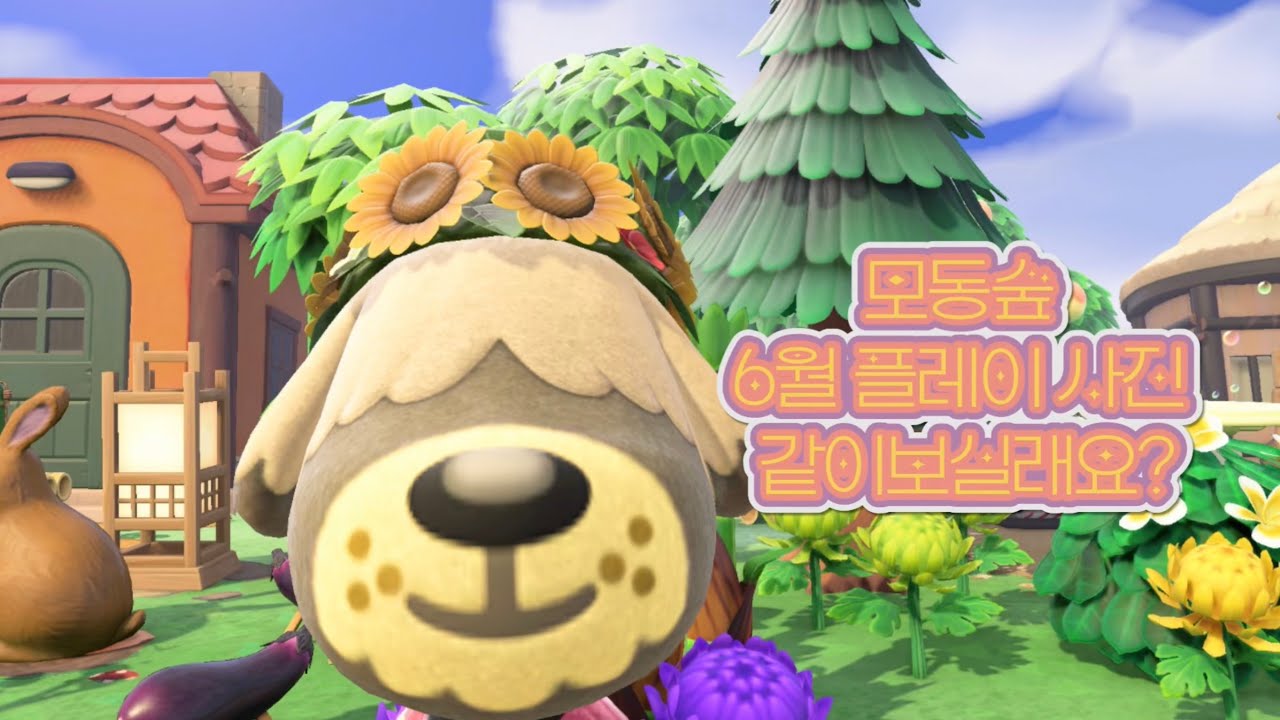 [#250] 모동숲 6월 플레이 사진 같이 보실래요? / 모동숲 / 모여봐요 동물의 숲 / 플레이사진