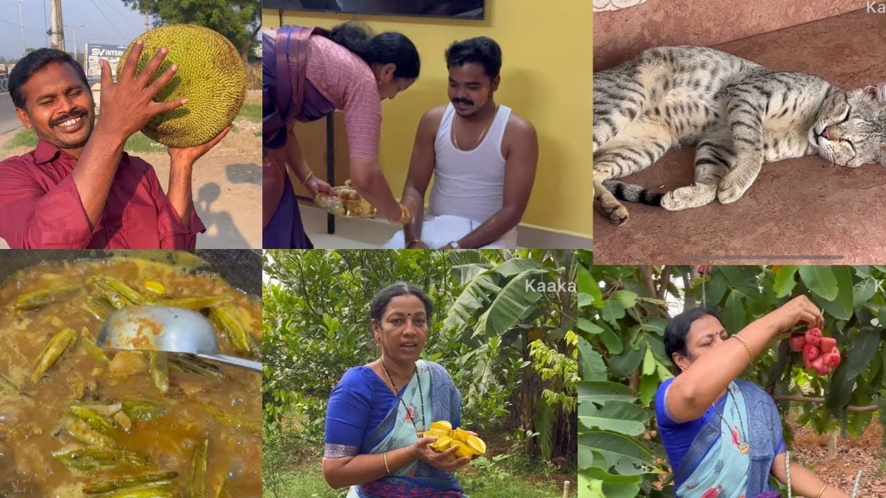 கோவக்காய் கிரேவி!! & என் நலுங்கு சீர்வரிசை!!!