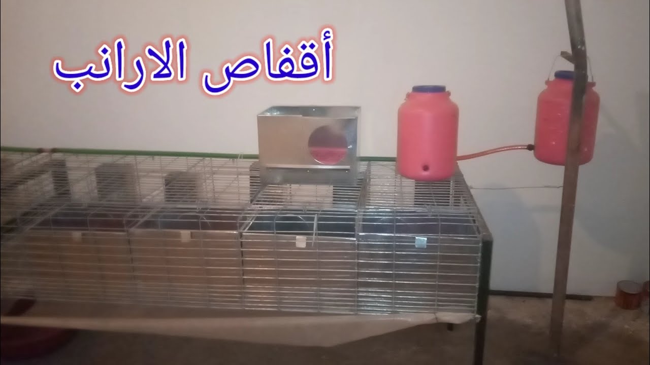 اقفاص الأرانب ومعلومات طريقة تركيب الميكا تحت قفص أرانب