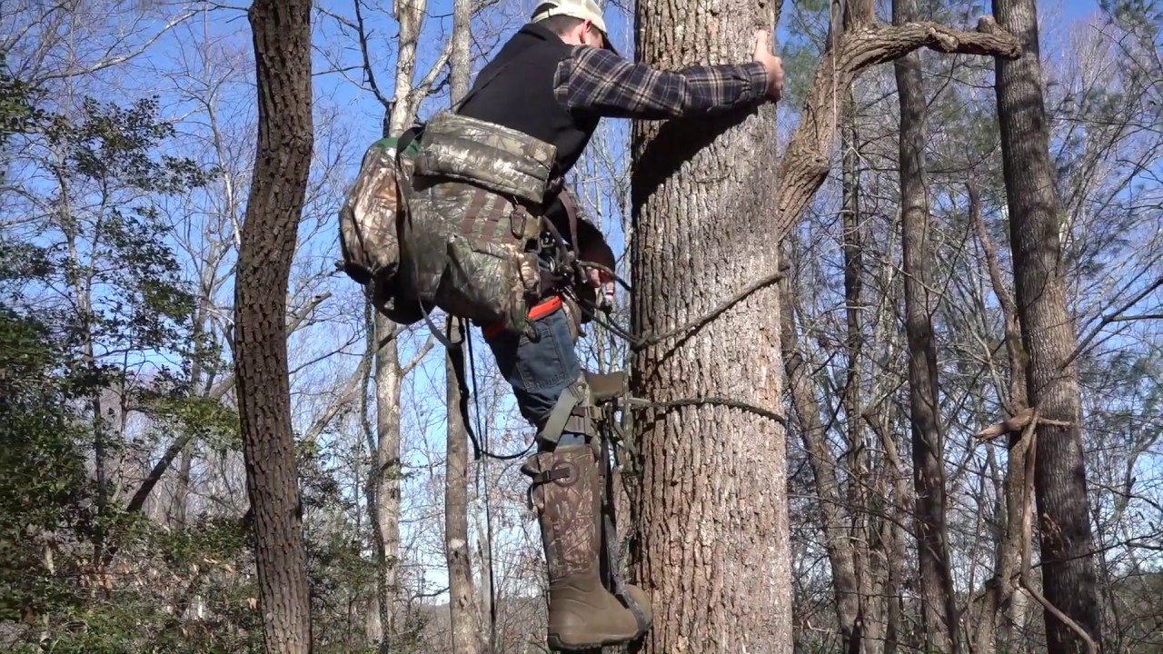 Wild Edge Step Review