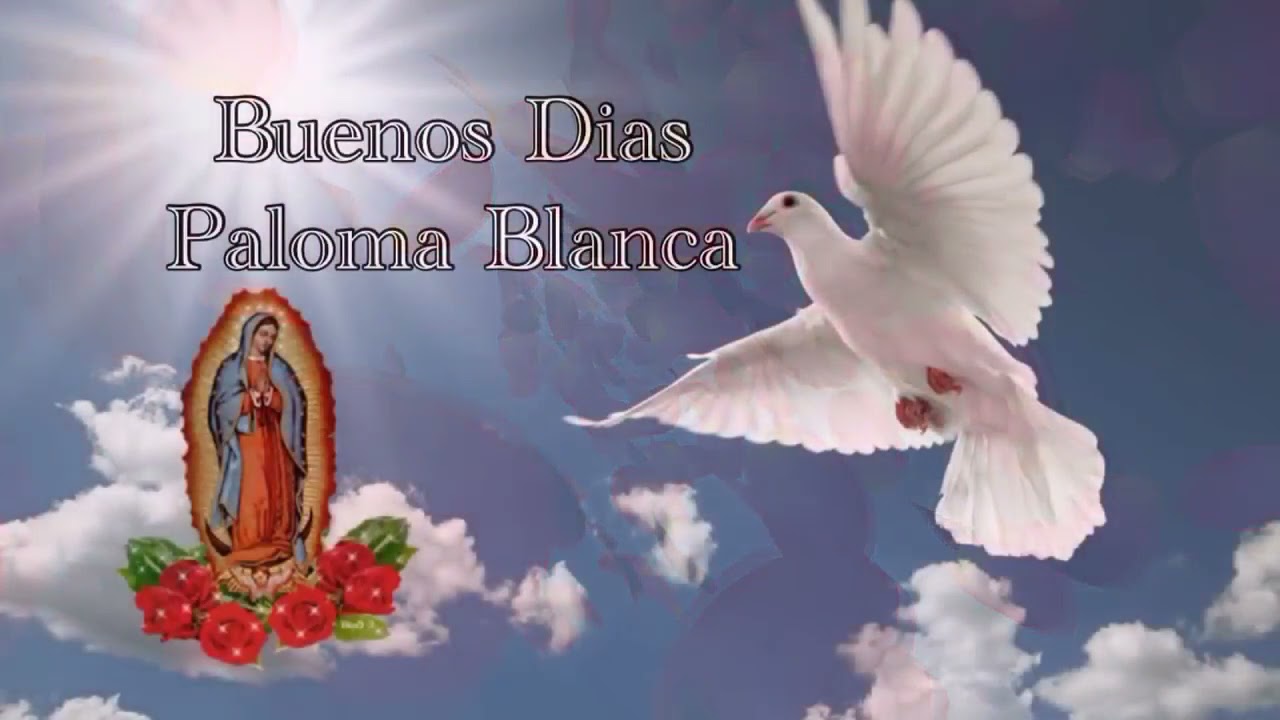 Mañanitas a la virgencita de Guadalupe con banda de viento✨🎉🎊