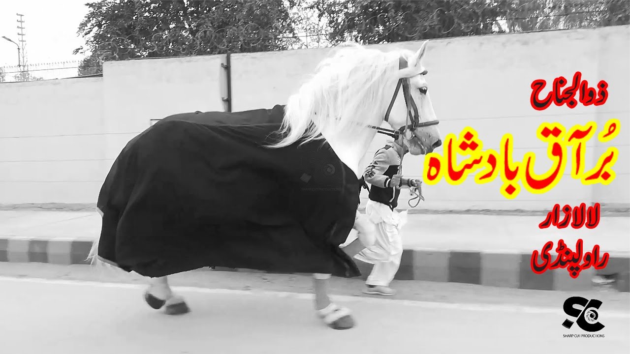 Zuljanah Buraaq Badshah Rawalpindi (Llalazar, Walk Time)