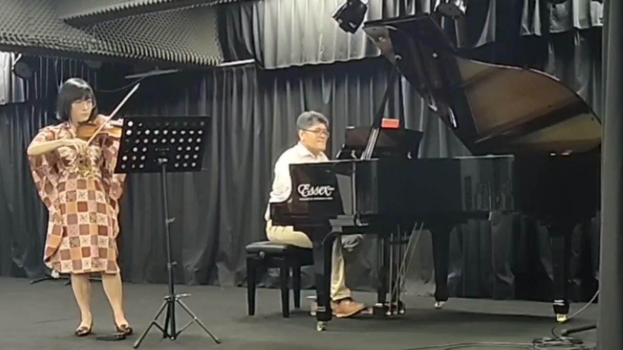 Franz Schubert: Violin Sonatina no. 1 in D Major, op. 137 - III. Allegro Vivace