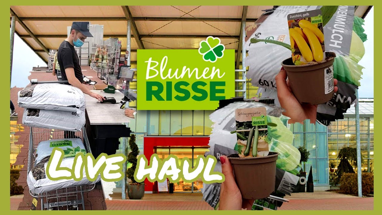 BLUMEN RISSE LIVE HAUL - DAS ERSTE MAL | Mary Jano