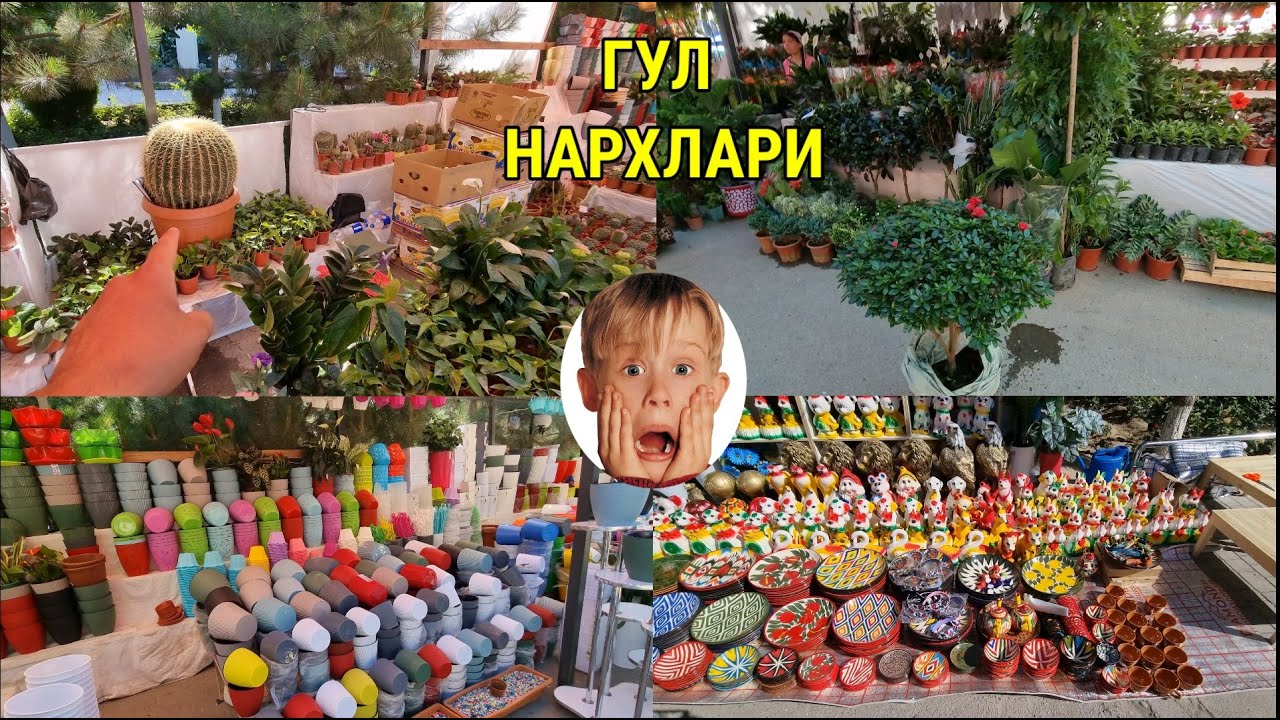 ТАБИИЙ ГУЛЛАР НАРХЛАРИ. НАМАНГАНДА ГУЛЛАР БАЙРАМИ ДАВОМ ЭТМОКДА. #табиий_гуллар_нархлари #наманган