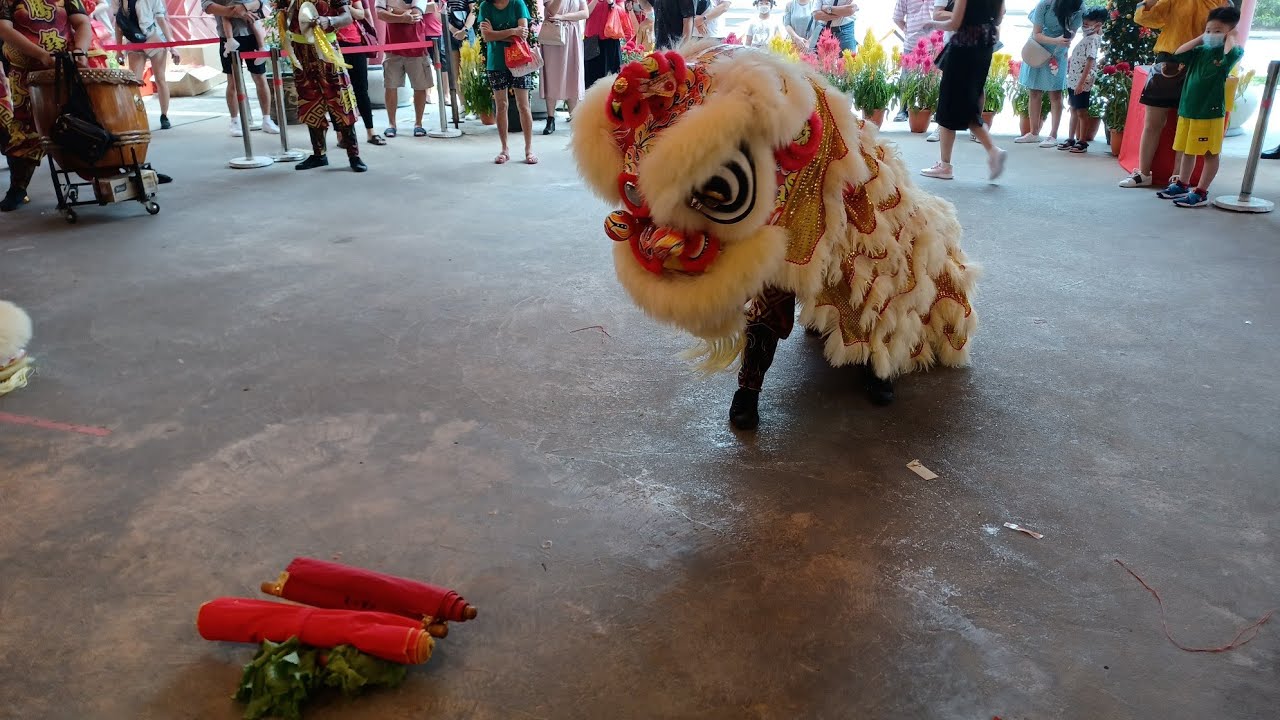 新加坡腾鋒兿術龍狮院 Singapore Teng Feng Lion Dance Cai Qing Performance at 七福宫 01/02/22 CNY Day 1 初一