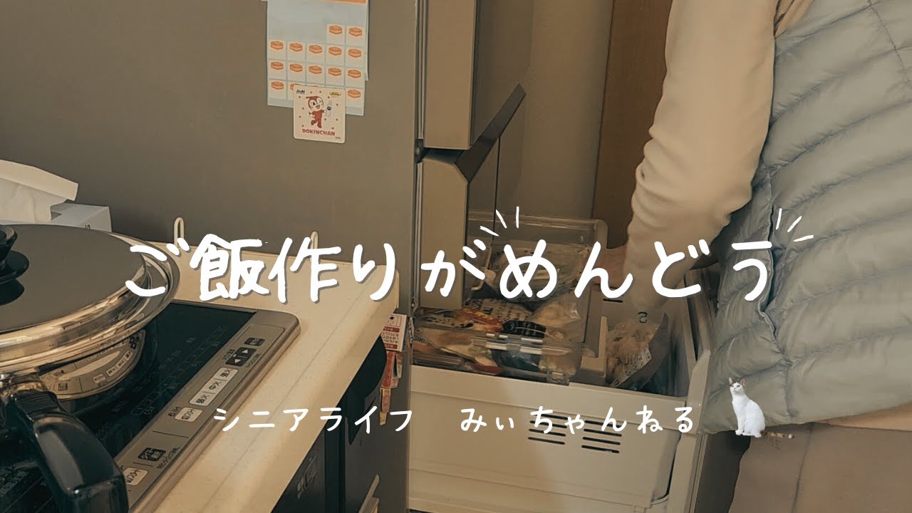 【Vlog】60代 ご飯作りめんどう/自分リセット/夫くんのネコじかん/