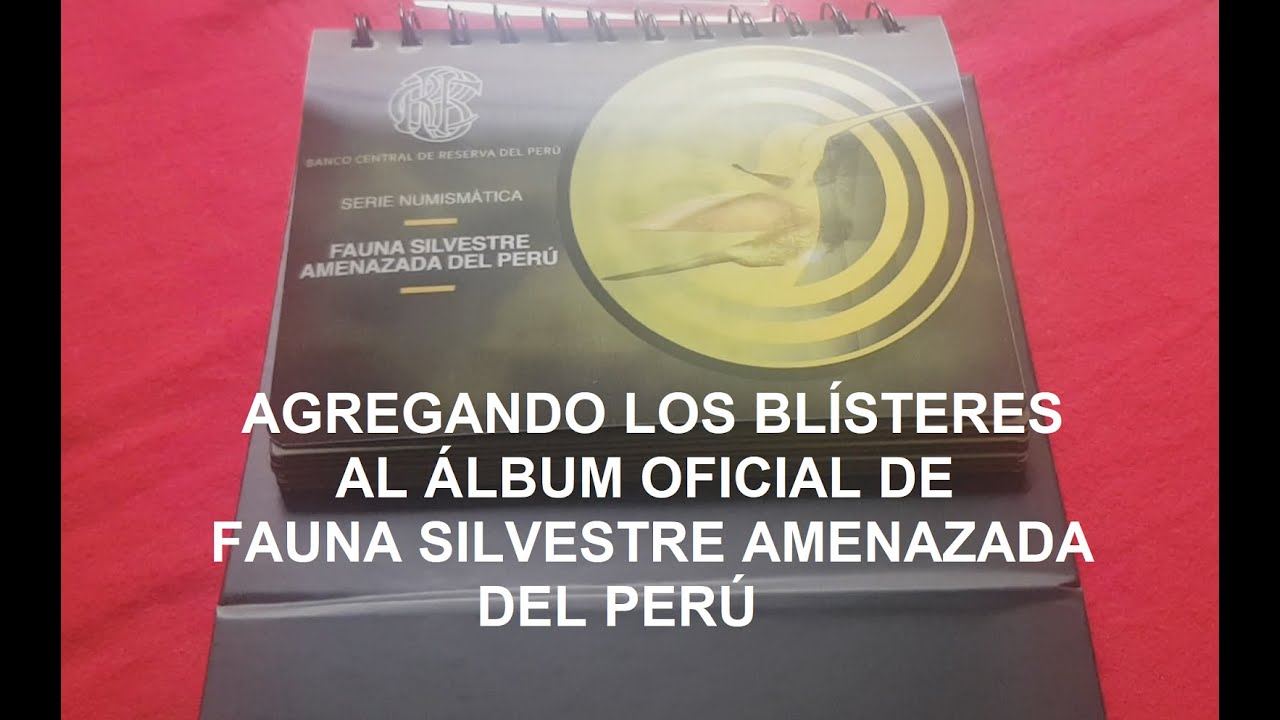 Agregando los blísteres al álbum oficial de la serie numismática Fauna Silvestre Amenazada del Perú