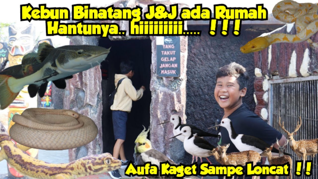 NINO DAN AUFA WISATA KE KEBUN BINATANG J&J YANG BERADA DI KUNINGAN JAWA BARAT !!