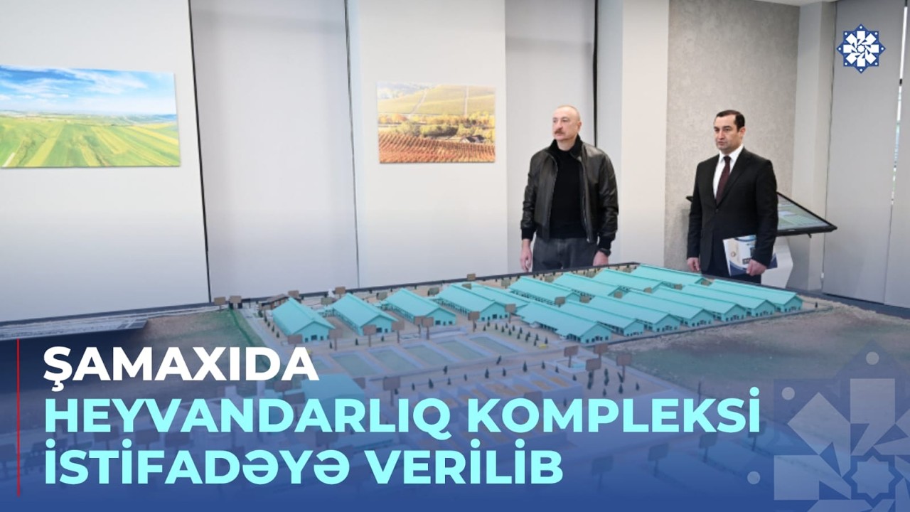 Prezident İlham Əliyev Şamaxıda &ldquo;Şirvan Aqro&rdquo; heyvandarlıq kompleksinin a&ccedil;ılışında iştirak edib