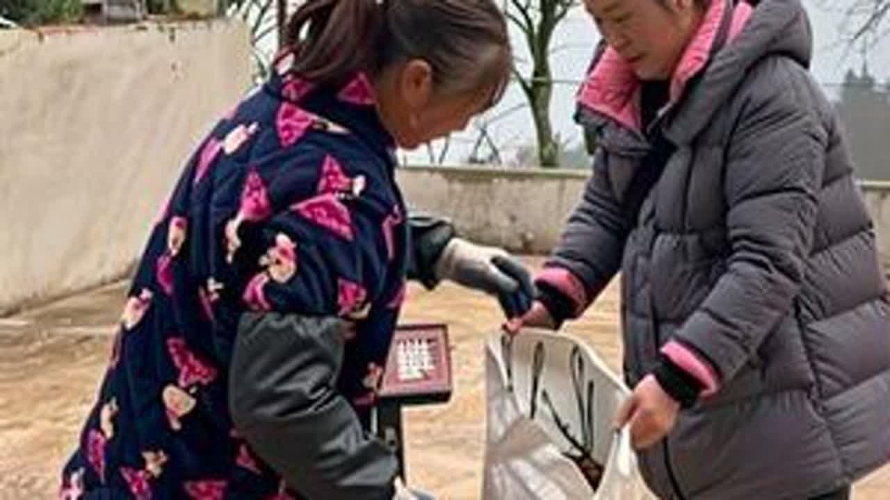 收腊肉竟撞见阿姨珍藏的知了肉！高蛋白硬货，直接刷新认知！跑农家收山货的日子，天天都在涨新见识，谁懂这种快乐？你吃过这稀罕物吗？#三农#我的乡村生活 #腊肉#年货#神农架