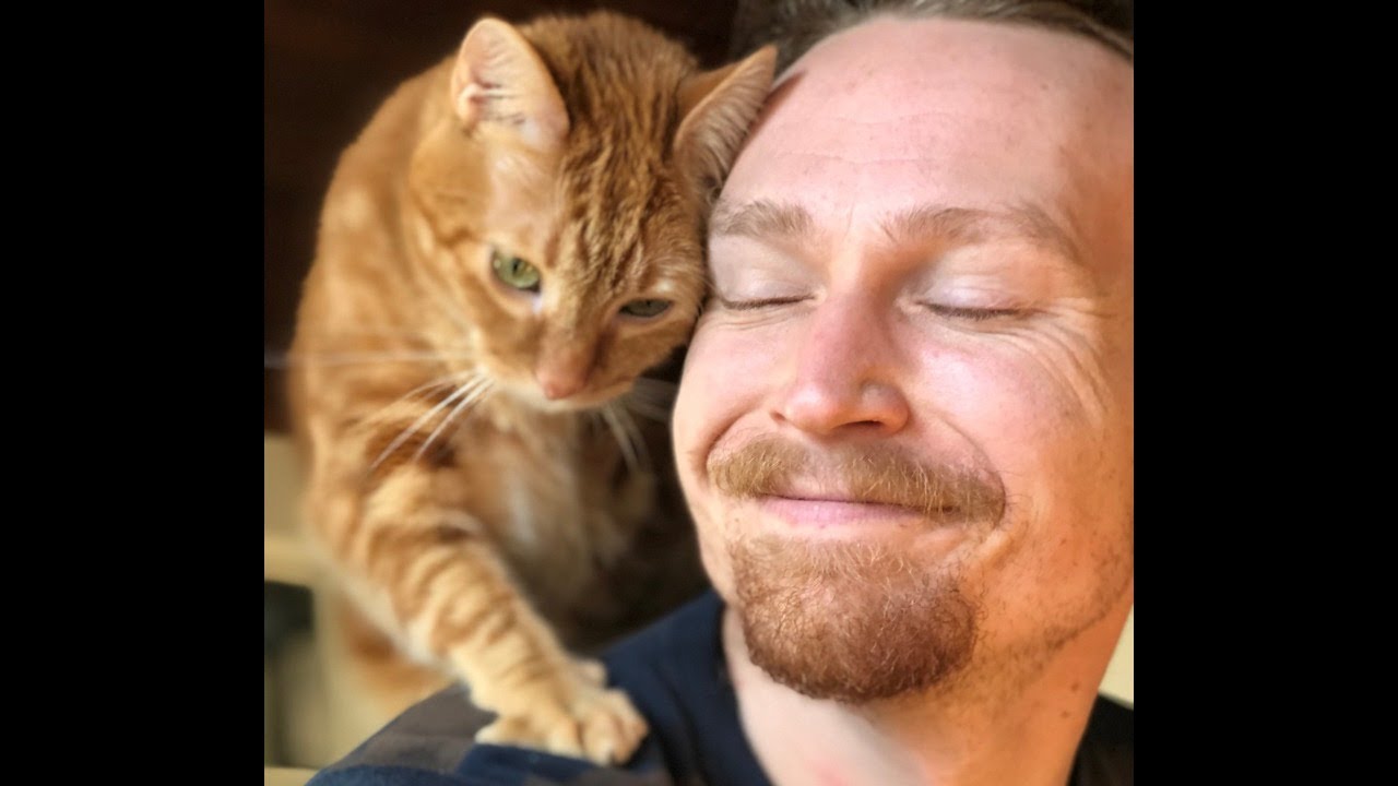 I lost my Best Friend. Remembering Spidey-Cat.