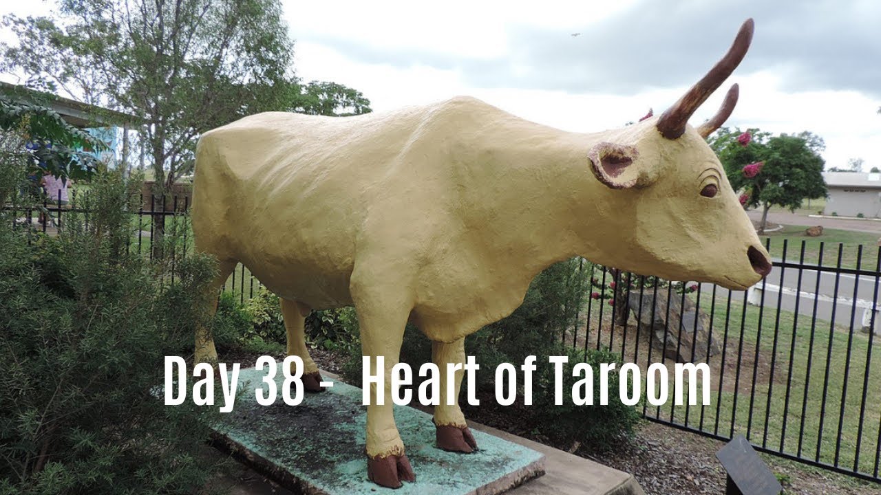 Dzień 38 - Taroom
