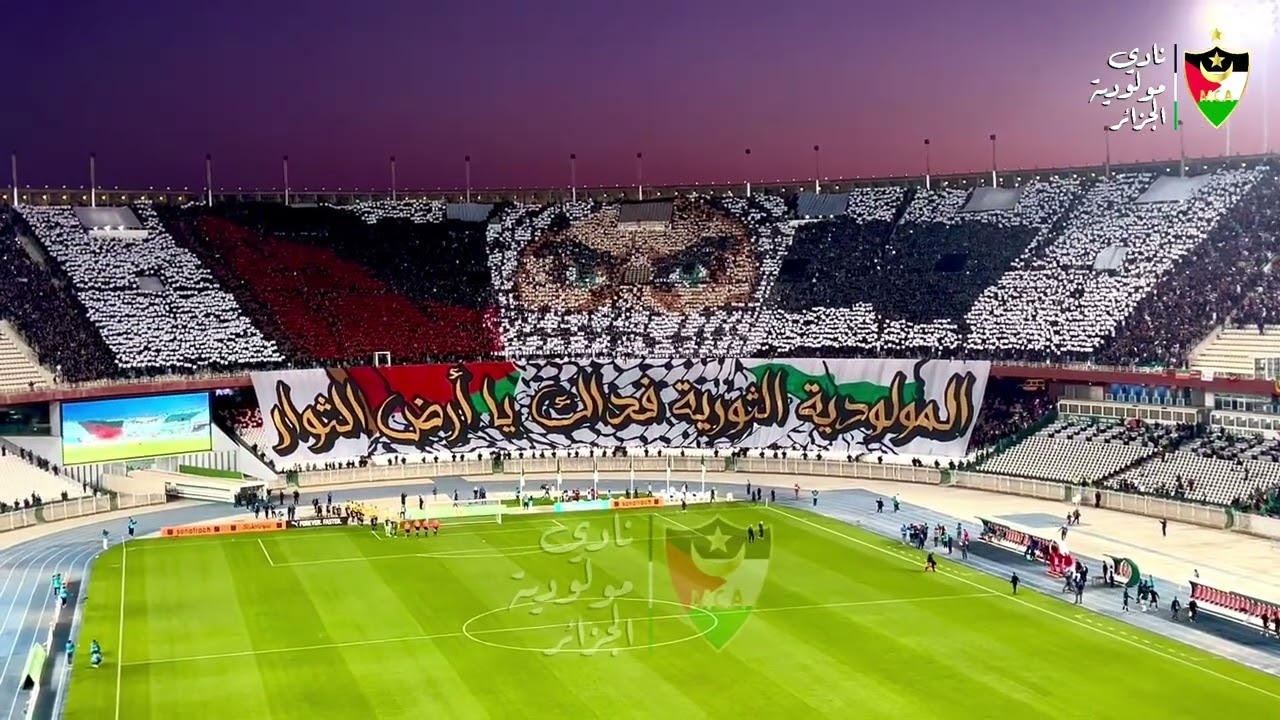 أجمل فيديو لتيفو أنصار المولودية دعما للقضية الفلسطينية ✌️🇵🇸