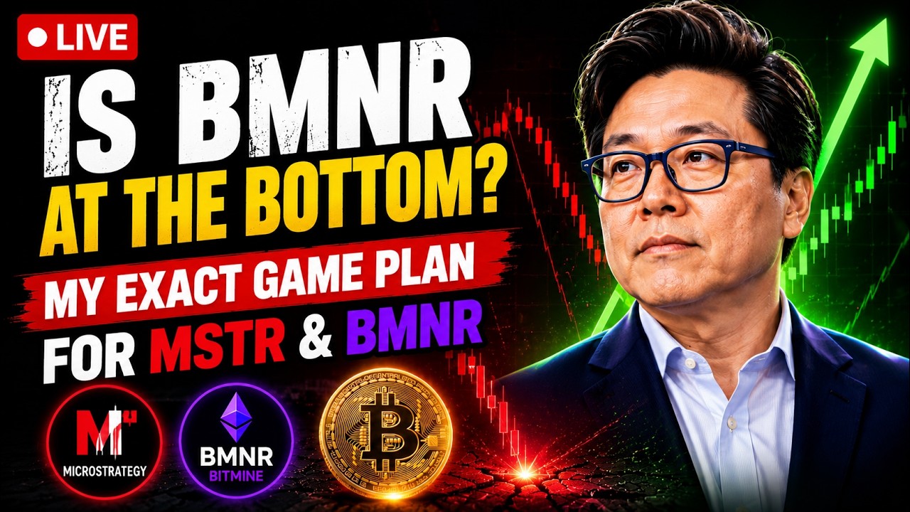 🚨 Is BMNR At The Bottom? My Exact Game Plan For MSTR and BMNR Holders Before The Next Bull Run