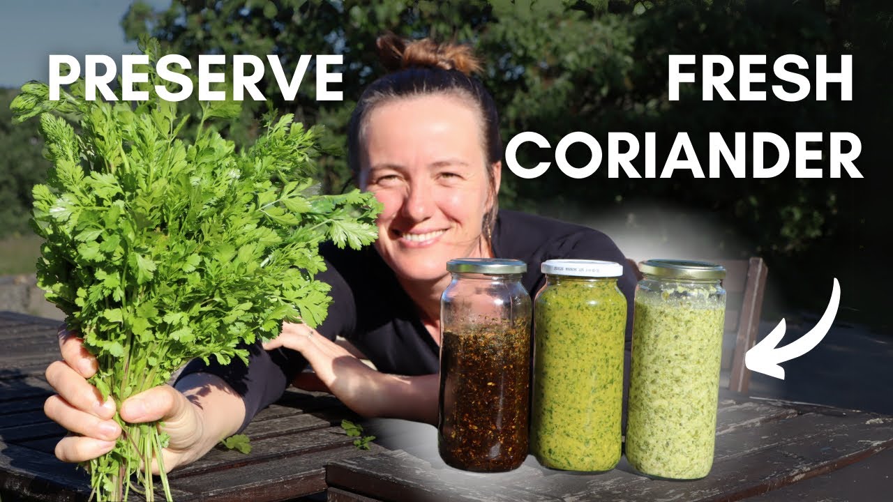 How to preserve cilantro (coriander) on the farm | simple from scratch recipes