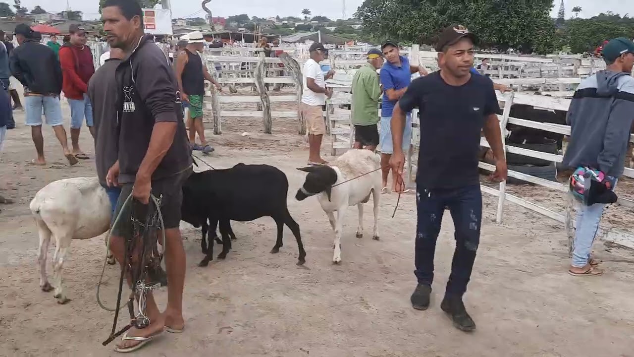 1 de março de 2026