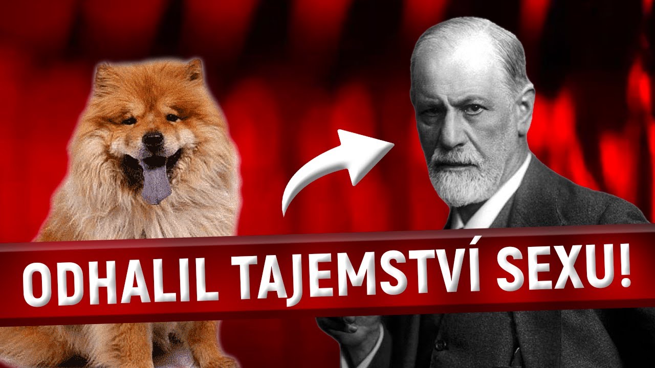 Co dělal Sigmund FREUD se psy ZA ZAVŘENÝMI DVEŘMI?!