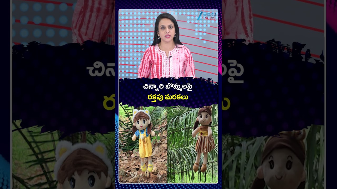Jahnavi Missing Mystery Latest Updates | చిన్నారి బొమ్మలపై రక్తపు మరకలు |Zee Telugu News