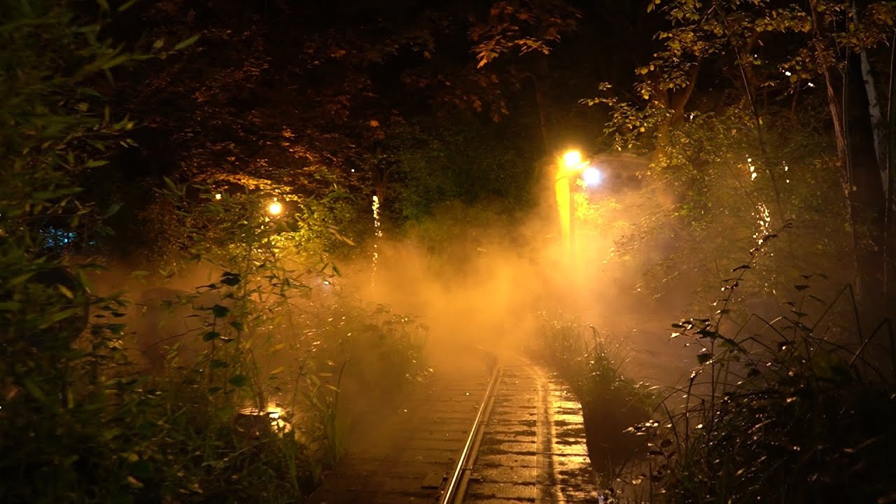Hansa-Park: Safari-Jeeps bei Nacht! (Darkride)