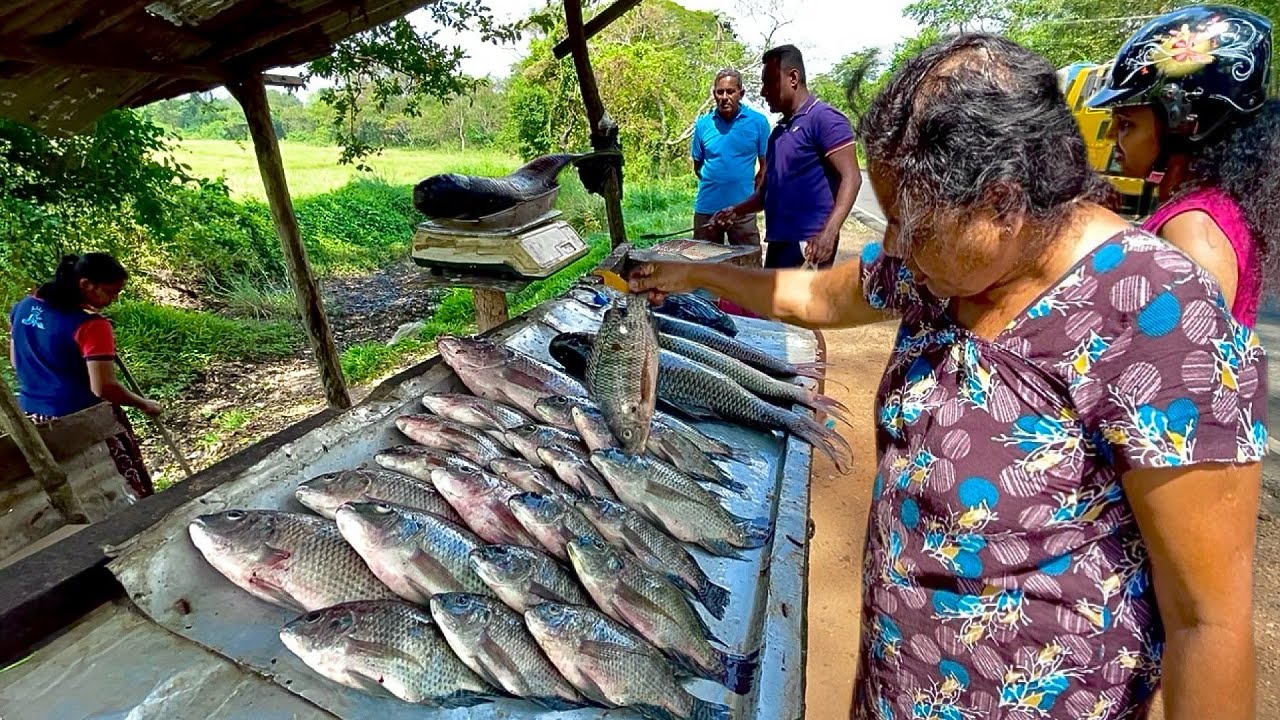 Fantastic! Fisherman's Day In Life Vlog of Amazing Village Fish Market