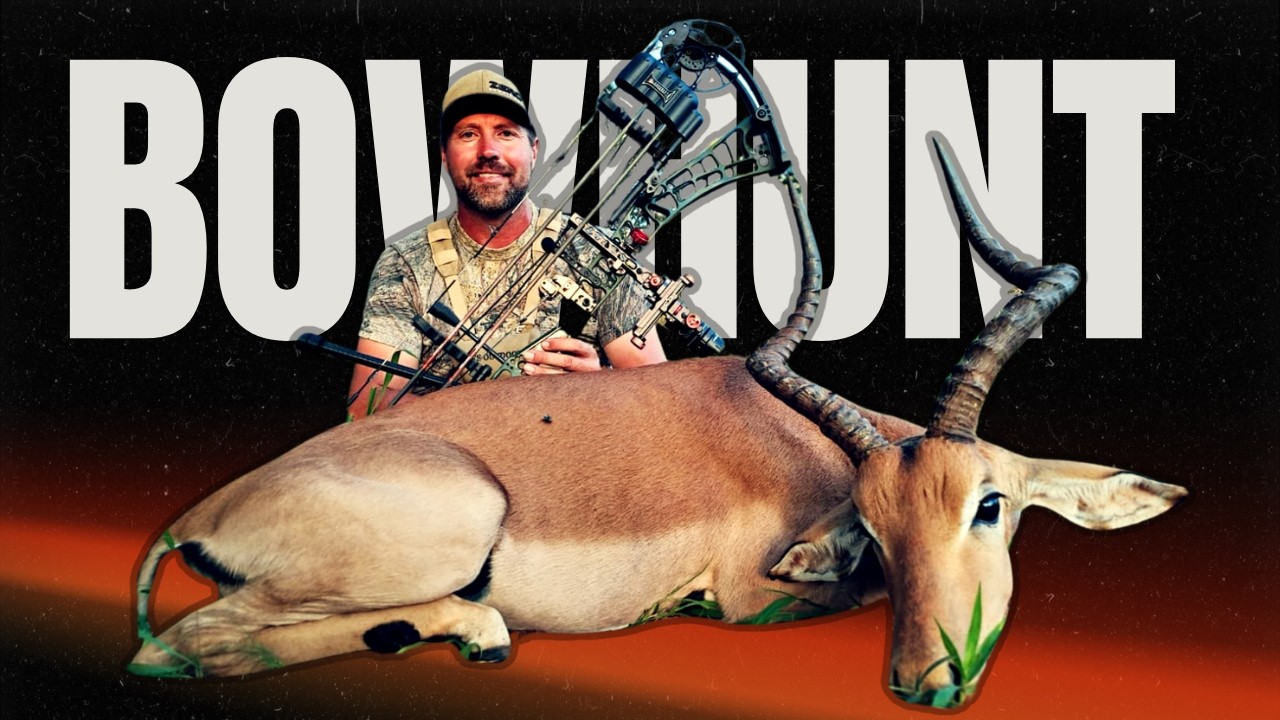 Jungle Fever: Solo Bowhunt in the South African Lowveld