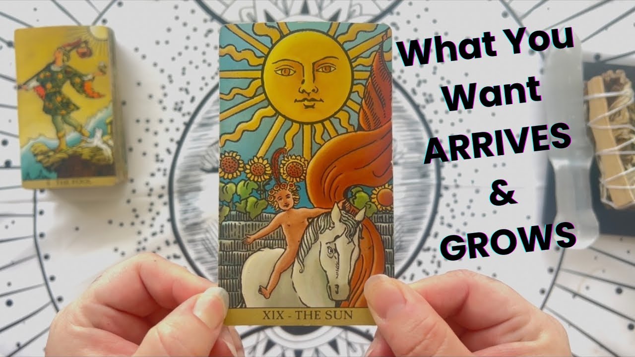 PISCES♓️ this is MAJOR☀️EVALUATING a NEW BEGINNING