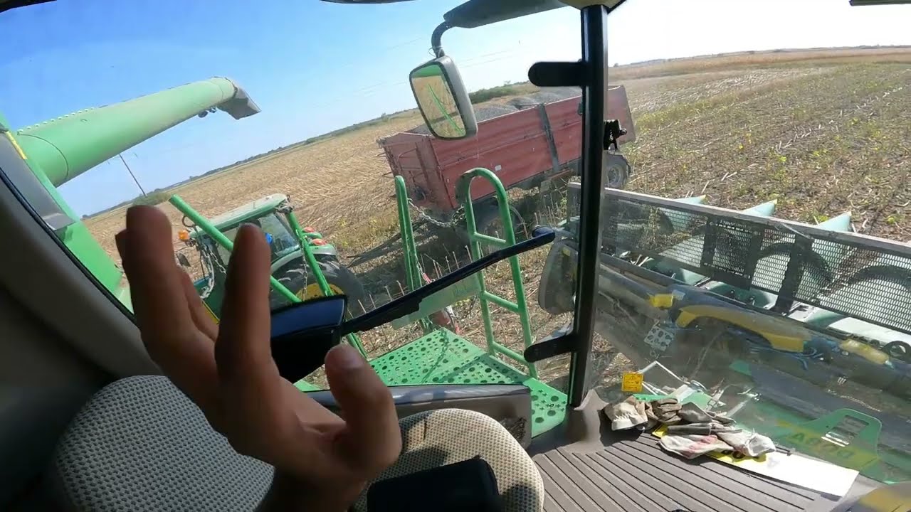 Recoltare de Floarea Soarelui merge decent