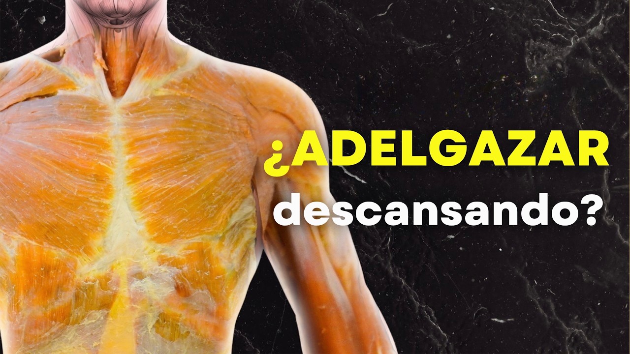 ¿Tu entrenamiento realmente quema grasa?