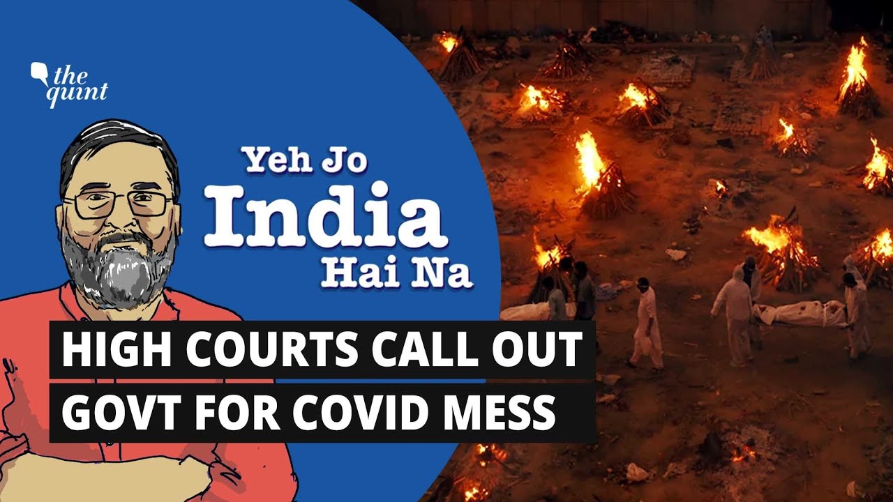 Yeh Jo India Hai Na | Amid COVID Chaos, Look at India’s High Courts Fighting for Our Right To Life
