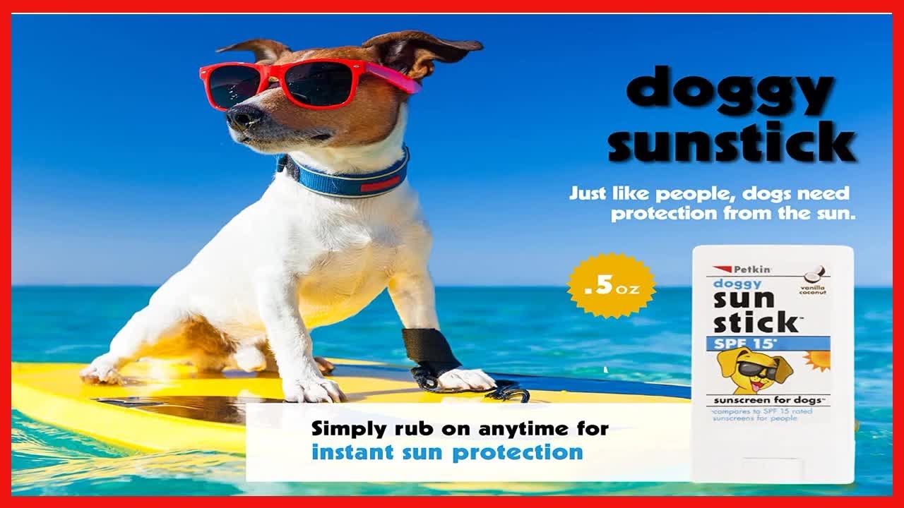 Petkin Dog Sunscreen Sunstick &ndash; Sunscreen for Dogs and Puppies, SPF 15 &ndash; Simply Rub on Anytime