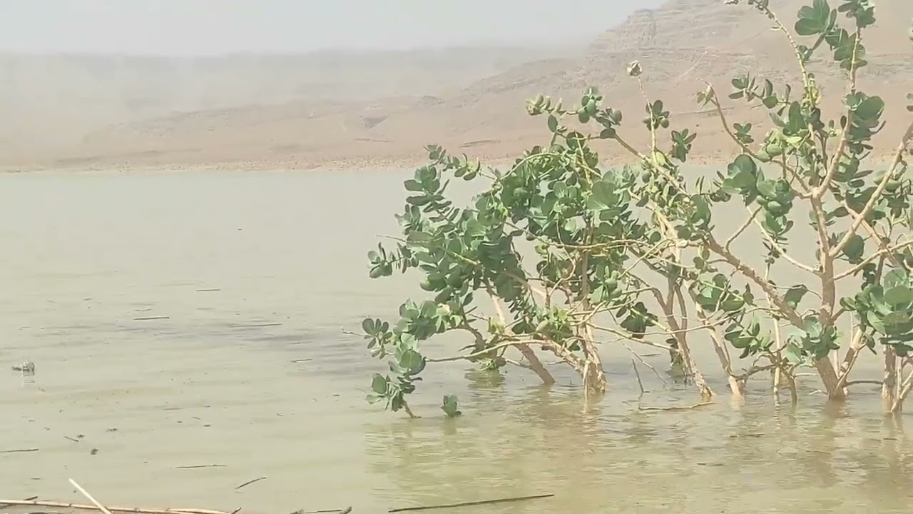 شاهد .. مستوى بحيرة سد الحسن الداخل جنوب شرق المغرب بعد التساقطات المطرية الاخيرة