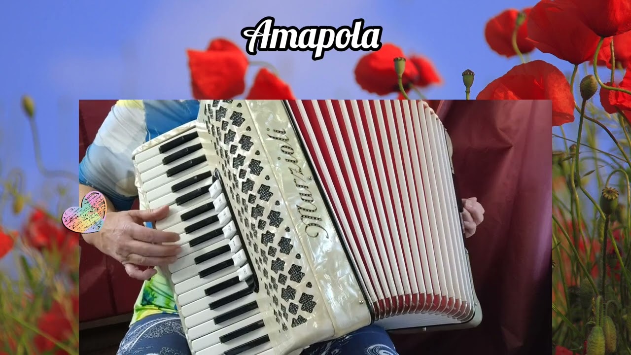 AMAPOLA, Bolero, música de acordeón, 🎶🎵🪗 accordion cover version