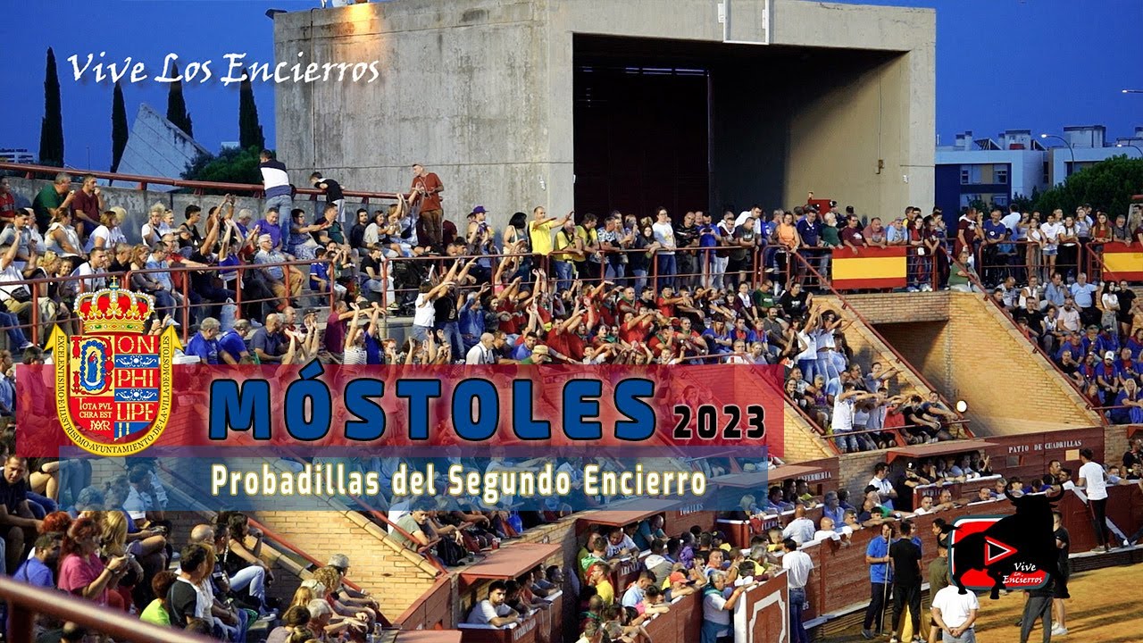 SUELTA DE TOROS del SEGUNDO ENCIERRO #mostoles 2023