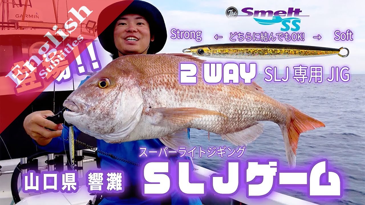 SLJ on 