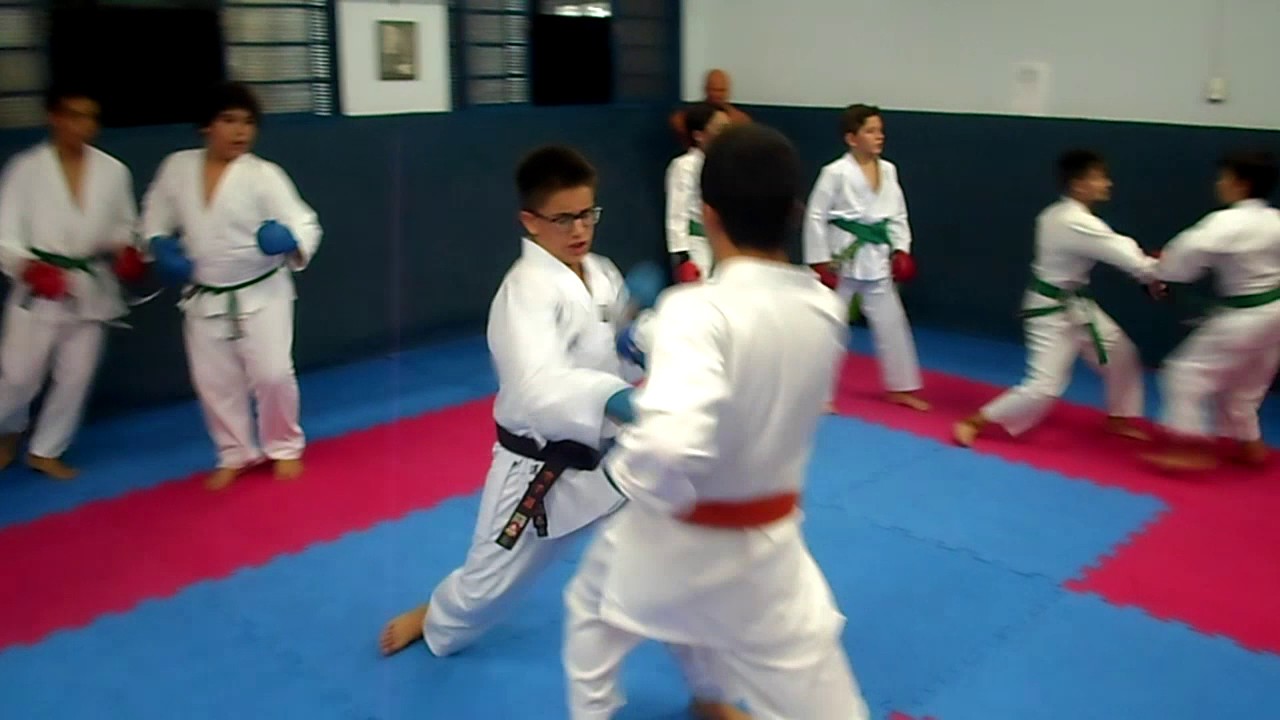 Bujin Do Kan -  Introd  ao Kumite (T-22052017)
